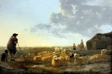 Sheep Herd on the Pasture